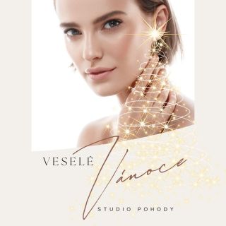 Vážené klientky , vážení klienti našeho studia. Naše studiu je již pro tento rok veřejnosti zavřené * Opětovně se na vás...